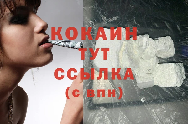 PSILOCYBIN Балабаново