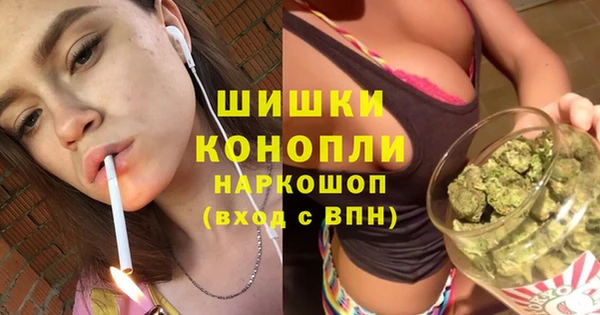 PSILOCYBIN Балабаново