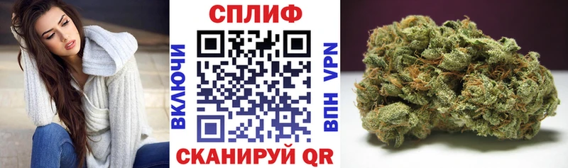 наркота  Хасавюрт  Бошки Шишки LSD WEED 